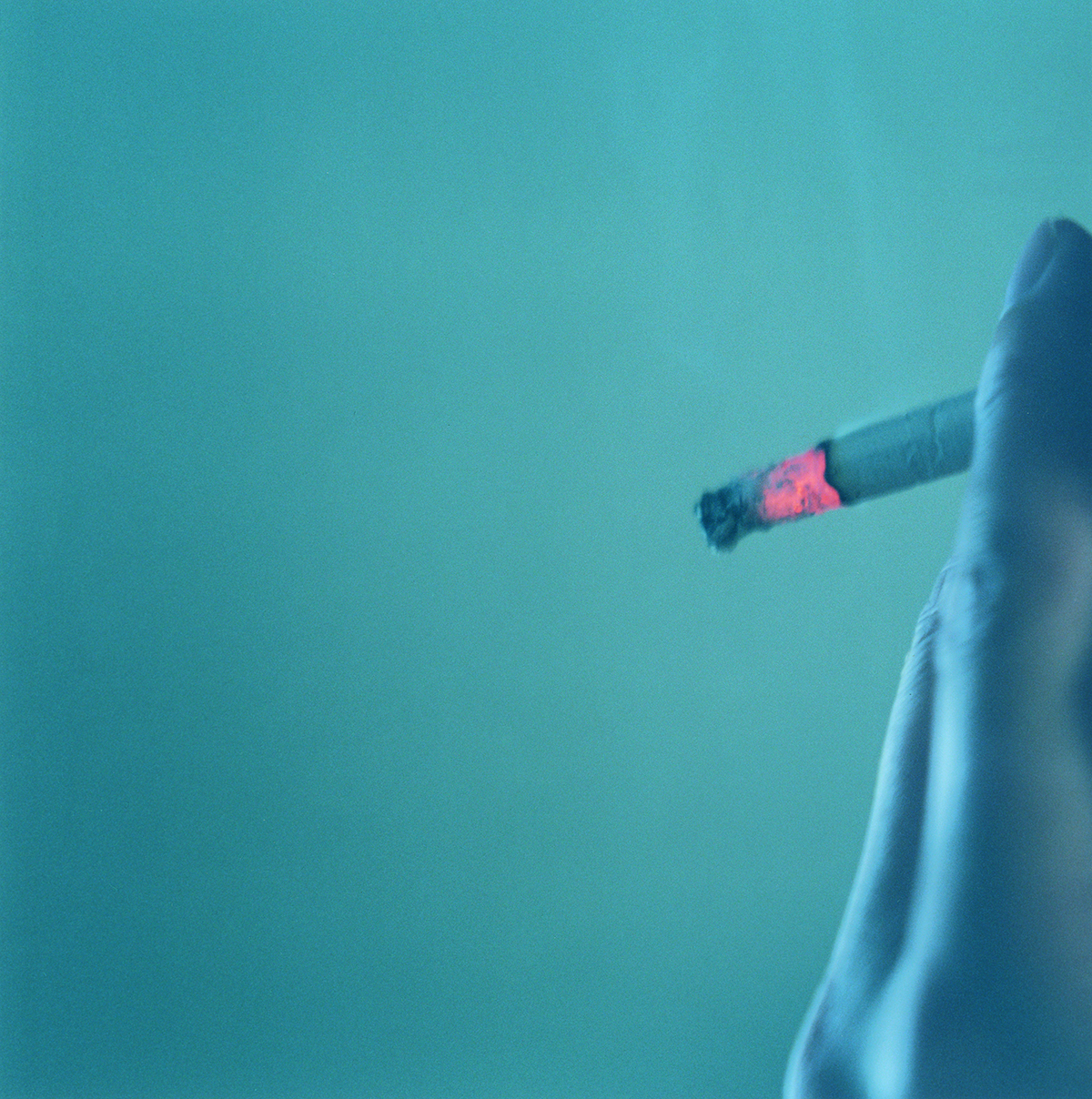 KAW_067_u2-64sm Rinko Kawauchi, Japanese, born 1972
Untitled, 2007–11
Chromogenic prints
Courtesy of artist
Minneapolis Institute of Arts