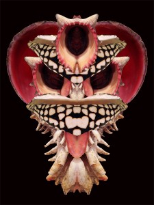 IND Achachantina mask, 2013 Herman Mhire copyright