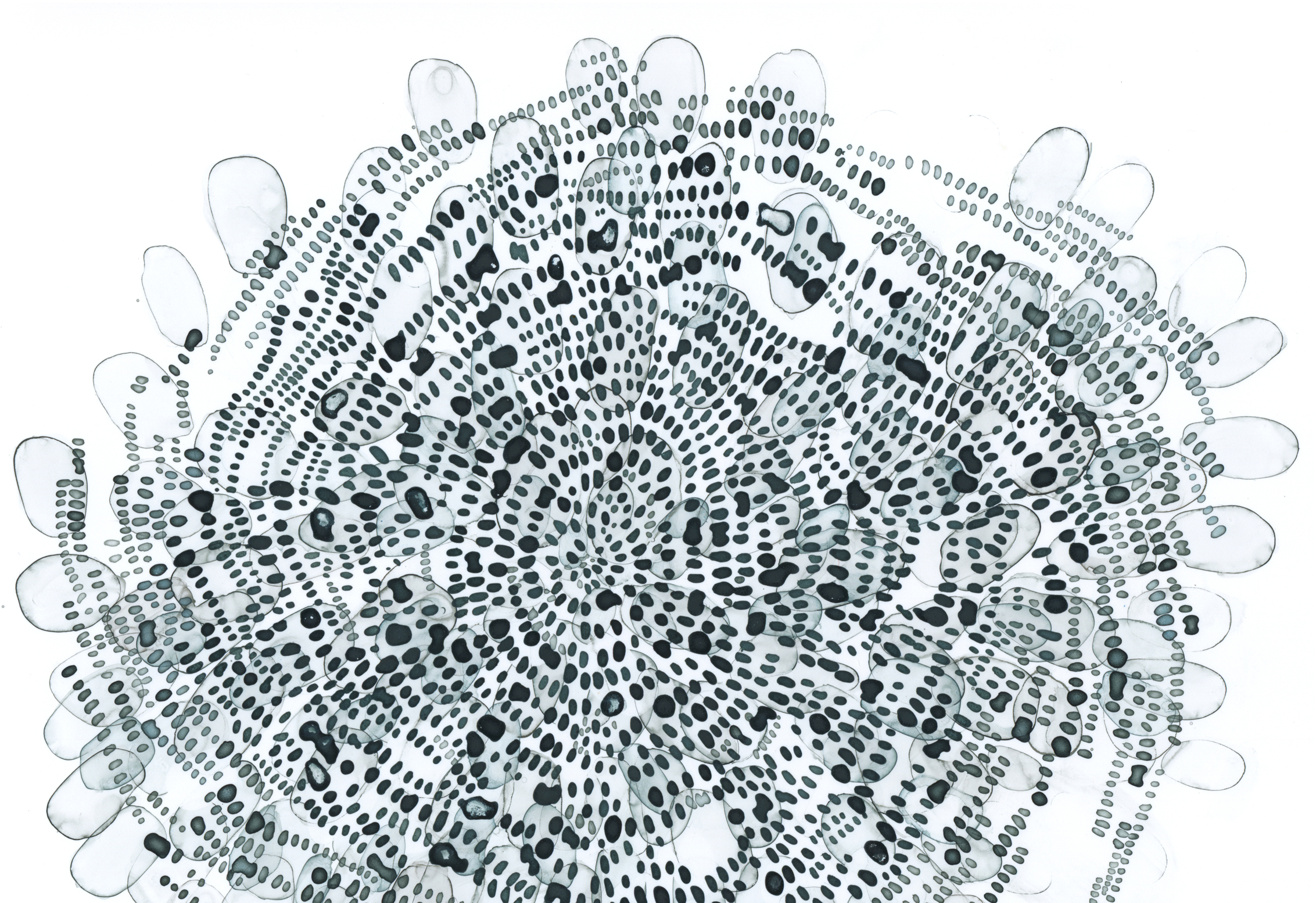 01_WendyWolf_Ink_12-17_detail 01_WendyWolf_Ink_12-17_detail