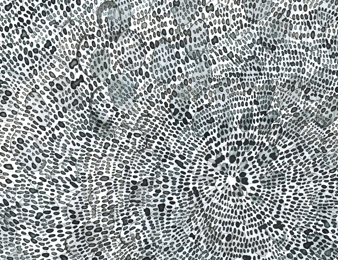 03_WendyWolf_Ink_25-10_detail2_300dpi 03_WendyWolf_Ink_25-10_detail2_300dpi