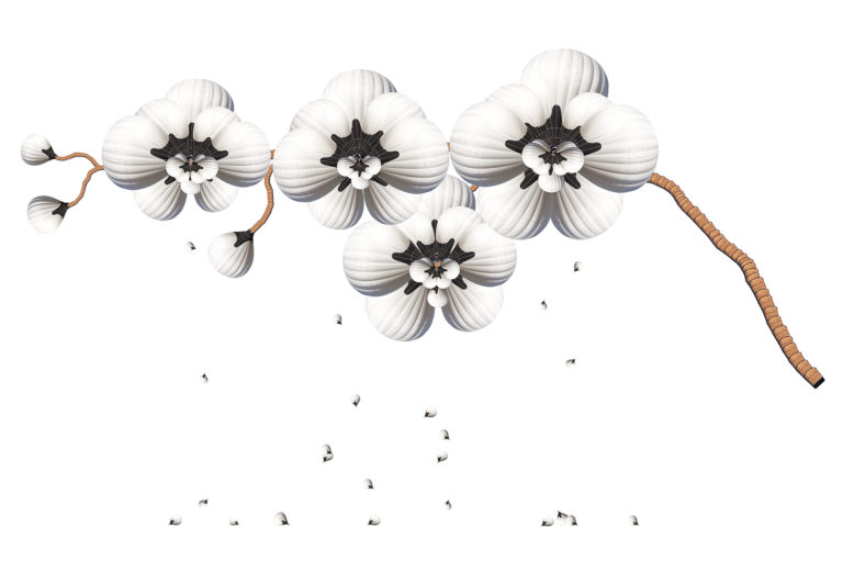 jones_orchid_cu Orchid Seeding 2, 2016
Archival Inkjet on Cotton Rag
24 x 30 in, 60.9 x 76.2 cm
Edition of 2
Copyright: Cassandra C. Jones