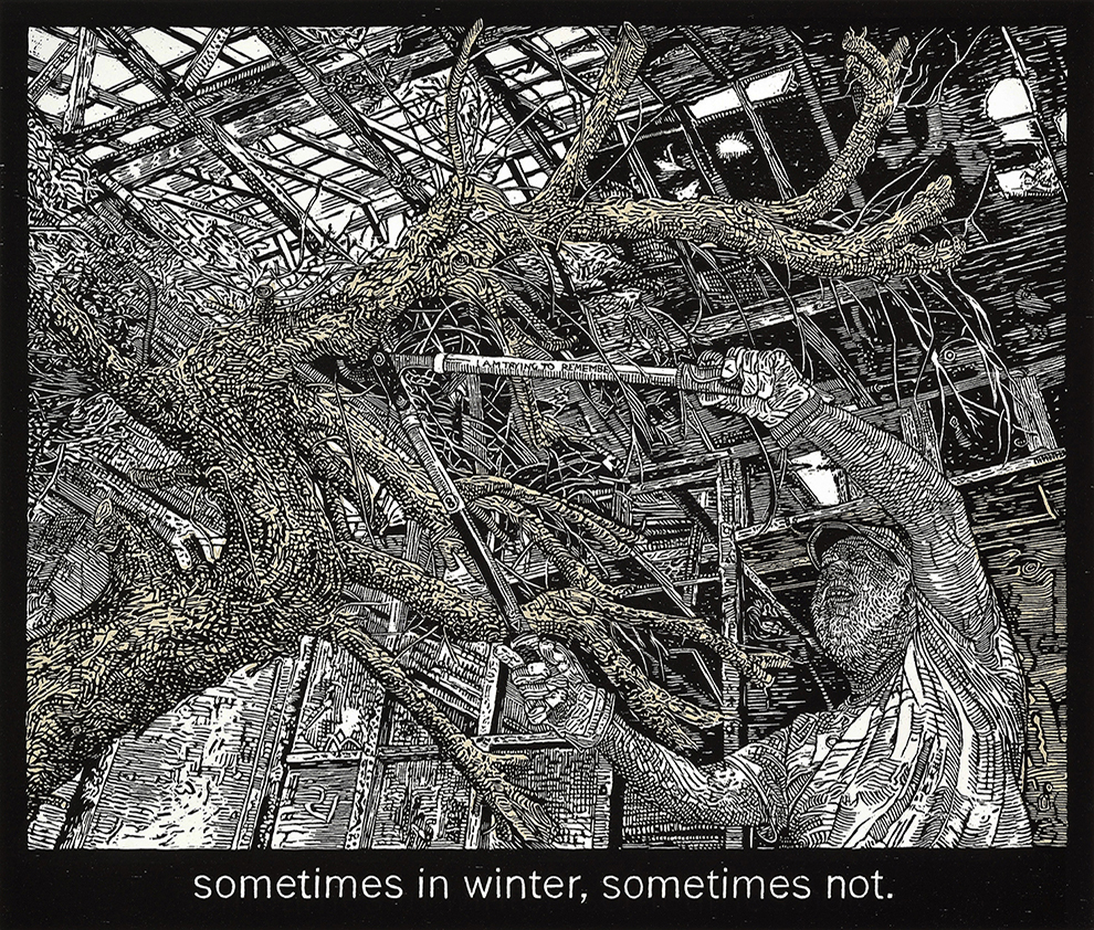 02_Briggs_sometimes in winter, sometimes not sometimes in winter, sometimes not, 2016
woodcut with chine collé on Rives BFK and Kitakata paper
edition of 24
21” x 24”