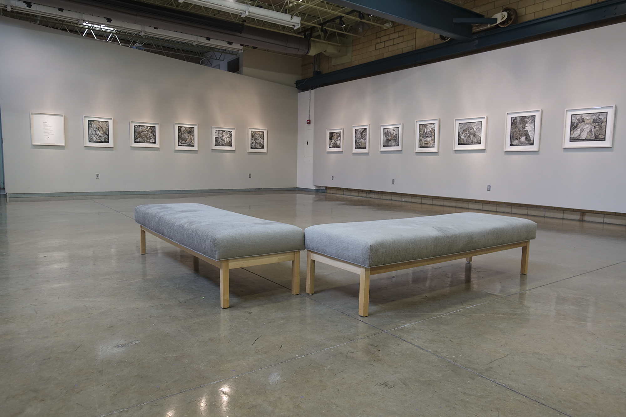 briggs installation2 Alice Leora Briggs LHUCA Center for the Arts 10/6/17 - 11/ 25/17